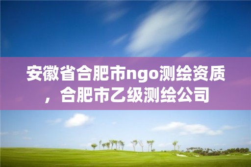 安徽省合肥市ngo測繪資質，合肥市乙級測繪公司