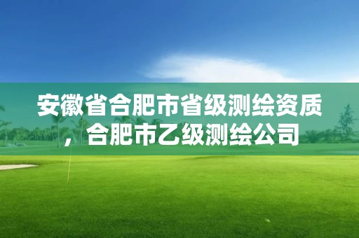 安徽省合肥市省級(jí)測(cè)繪資質(zhì)，合肥市乙級(jí)測(cè)繪公司