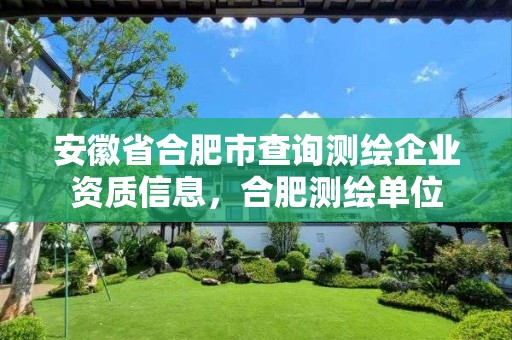 安徽省合肥市查詢測繪企業(yè)資質信息，合肥測繪單位