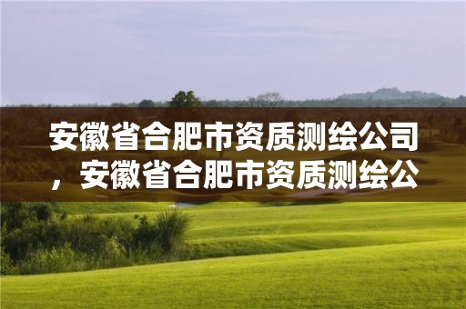 安徽省合肥市資質測繪公司，安徽省合肥市資質測繪公司有哪些