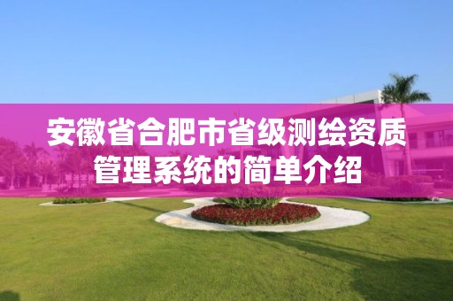 安徽省合肥市省級測繪資質管理系統的簡單介紹