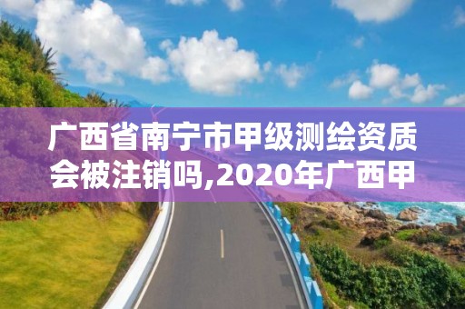 廣西省南寧市甲級測繪資質會被注銷嗎,2020年廣西甲級測繪資質單位