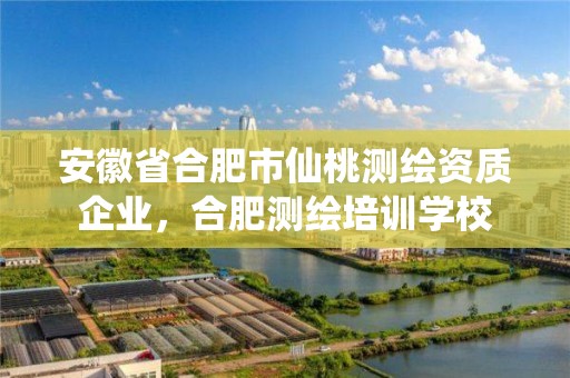 安徽省合肥市仙桃測繪資質企業，合肥測繪培訓學校