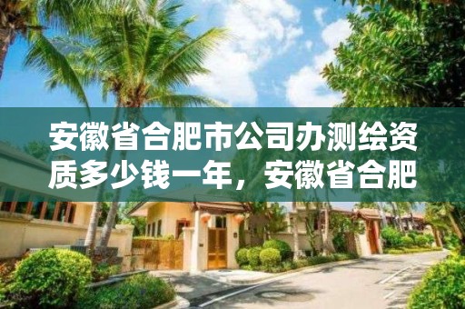 安徽省合肥市公司辦測繪資質多少錢一年，安徽省合肥市公司辦測繪資質多少錢一年