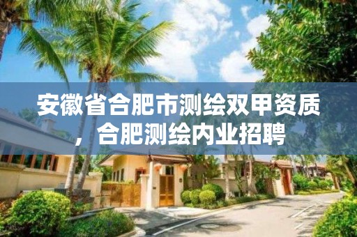 安徽省合肥市測(cè)繪雙甲資質(zhì)，合肥測(cè)繪內(nèi)業(yè)招聘