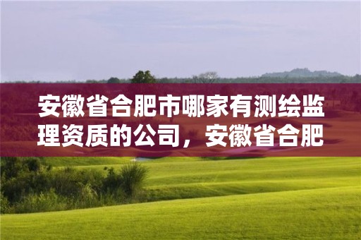 安徽省合肥市哪家有測繪監(jiān)理資質(zhì)的公司，安徽省合肥市哪家有測繪監(jiān)理資質(zhì)的公司