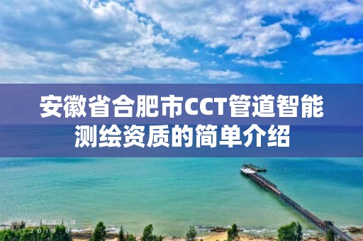 安徽省合肥市CCT管道智能測繪資質的簡單介紹