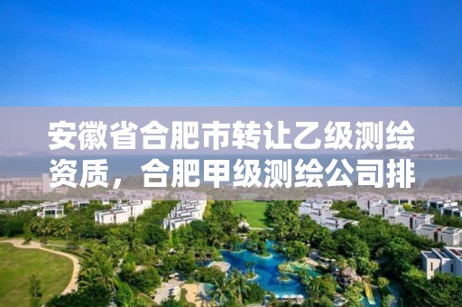 安徽省合肥市轉(zhuǎn)讓乙級測繪資質(zhì)，合肥甲級測繪公司排行