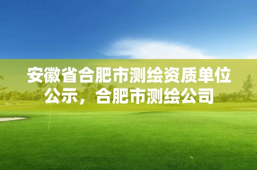 安徽省合肥市測繪資質單位公示，合肥市測繪公司