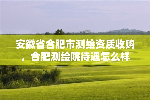 安徽省合肥市測繪資質收購，合肥測繪院待遇怎么樣