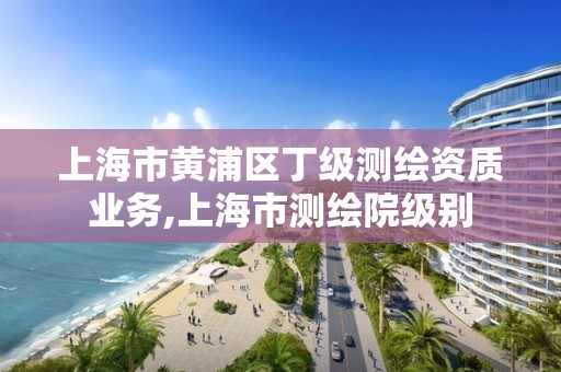 上海市黃浦區丁級測繪資質業務,上海市測繪院級別