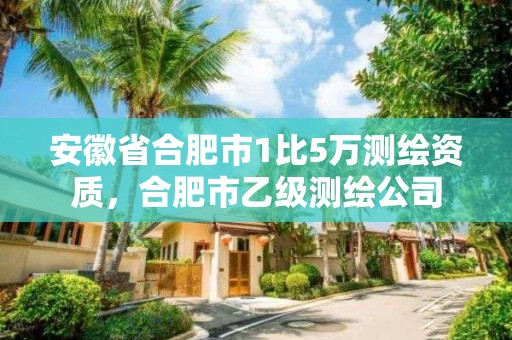 安徽省合肥市1比5萬測繪資質(zhì)，合肥市乙級測繪公司