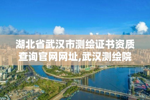 湖北省武漢市測繪證書資質查詢官網網址,武漢測繪院是什么級別。