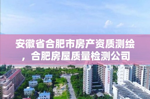 安徽省合肥市房產(chǎn)資質(zhì)測繪，合肥房屋質(zhì)量檢測公司