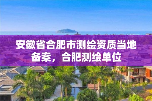 安徽省合肥市測(cè)繪資質(zhì)當(dāng)?shù)貍浒福戏蕼y(cè)繪單位