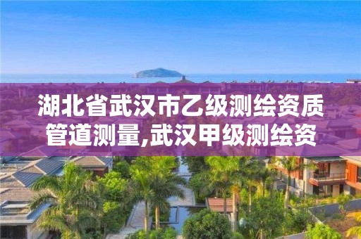 湖北省武漢市乙級測繪資質管道測量,武漢甲級測繪資質名錄