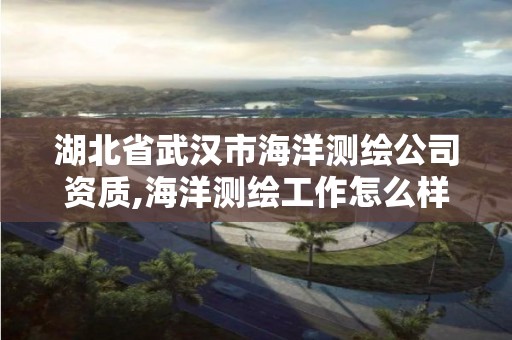 湖北省武漢市海洋測繪公司資質,海洋測繪工作怎么樣