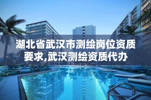 湖北省武漢市測繪崗位資質要求,武漢測繪資質代辦