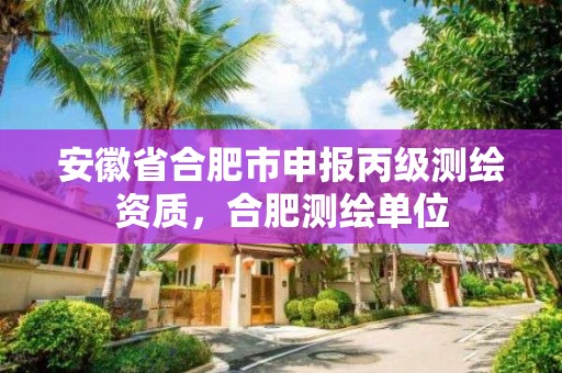 安徽省合肥市申報丙級測繪資質，合肥測繪單位