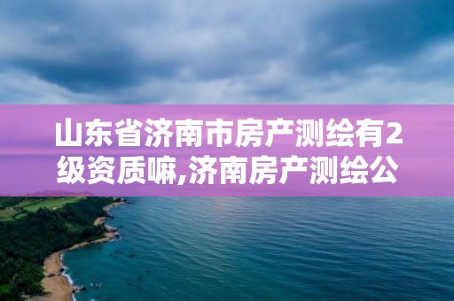 山東省濟南市房產測繪有2級資質嘛,濟南房產測繪公司。