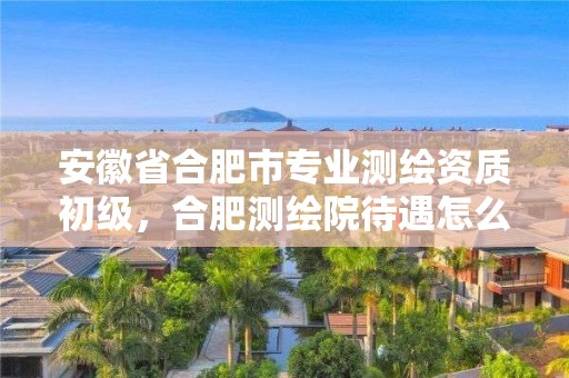 安徽省合肥市專業測繪資質初級，合肥測繪院待遇怎么樣