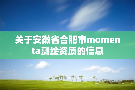 關于安徽省合肥市momenta測繪資質的信息