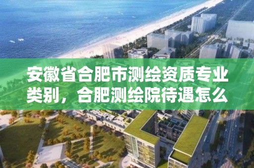 安徽省合肥市測繪資質(zhì)專業(yè)類別，合肥測繪院待遇怎么樣