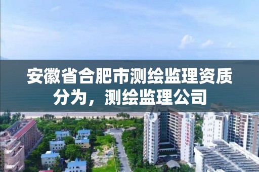 安徽省合肥市測繪監理資質分為，測繪監理公司