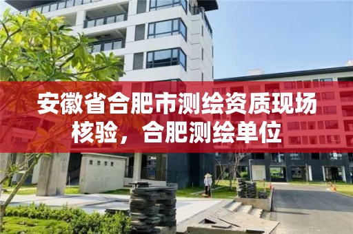 安徽省合肥市測繪資質現場核驗，合肥測繪單位