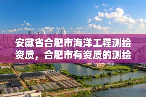 安徽省合肥市海洋工程測繪資質，合肥市有資質的測繪公司