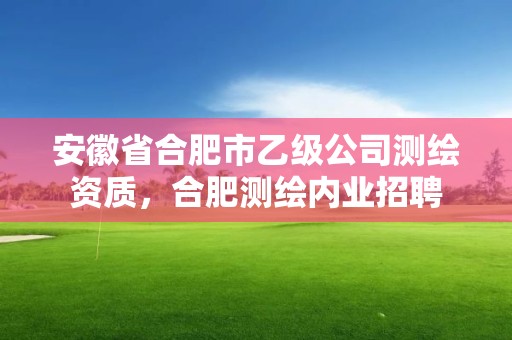 安徽省合肥市乙級公司測繪資質(zhì)，合肥測繪內(nèi)業(yè)招聘