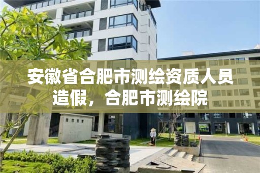 安徽省合肥市測繪資質人員造假，合肥市測繪院