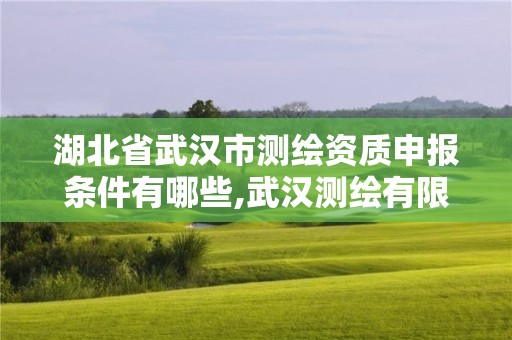 湖北省武漢市測繪資質(zhì)申報條件有哪些,武漢測繪有限公司。