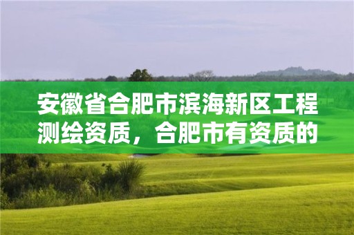 安徽省合肥市濱海新區工程測繪資質，合肥市有資質的測繪公司