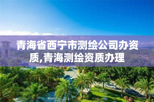 青海省西寧市測繪公司辦資質,青海測繪資質辦理