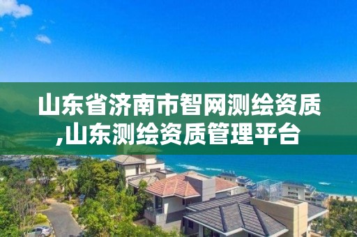 山東省濟南市智網測繪資質,山東測繪資質管理平臺