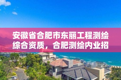 安徽省合肥市東麗工程測繪綜合資質，合肥測繪內業招聘