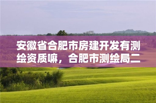 安徽省合肥市房建開發(fā)有測繪資質(zhì)嘛，合肥市測繪局二手房信息