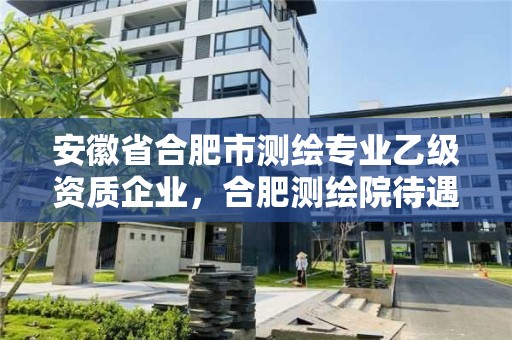 安徽省合肥市測(cè)繪專業(yè)乙級(jí)資質(zhì)企業(yè)，合肥測(cè)繪院待遇怎么樣