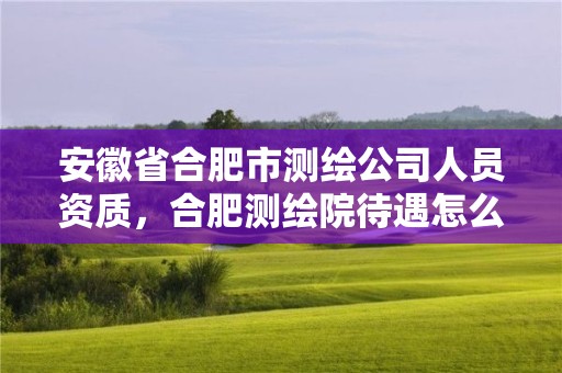 安徽省合肥市測(cè)繪公司人員資質(zhì)，合肥測(cè)繪院待遇怎么樣