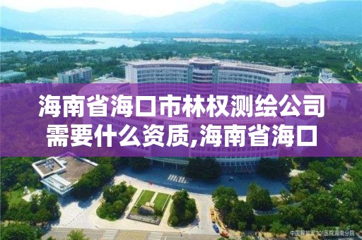 海南省海口市林權測繪公司需要什么資質,海南省海口市林權測繪公司需要什么資質。