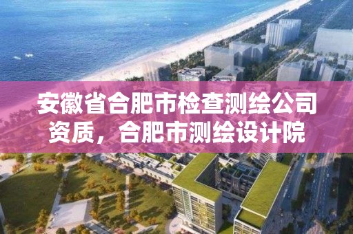 安徽省合肥市檢查測繪公司資質(zhì)，合肥市測繪設(shè)計院