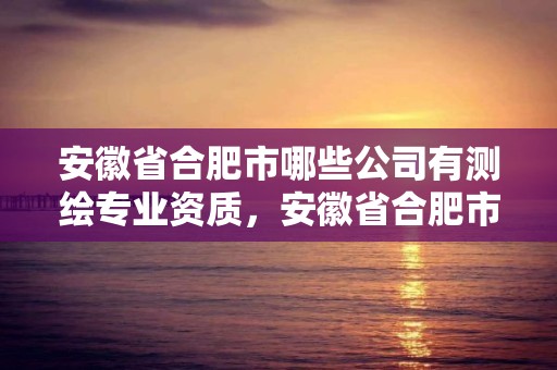 安徽省合肥市哪些公司有測繪專業資質，安徽省合肥市哪些公司有測繪專業資質的公司