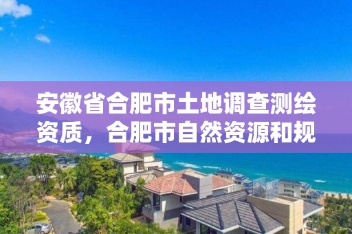 安徽省合肥市土地調查測繪資質，合肥市自然資源和規劃局測繪地理信息管理處