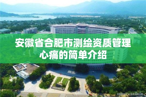 安徽省合肥市測繪資質管理心痛的簡單介紹