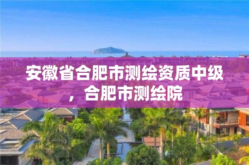 安徽省合肥市測繪資質中級，合肥市測繪院