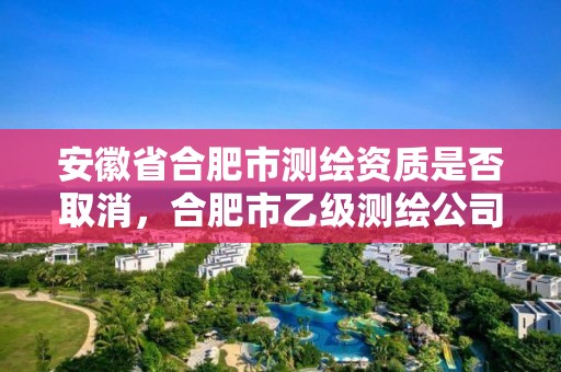 安徽省合肥市測繪資質是否取消，合肥市乙級測繪公司