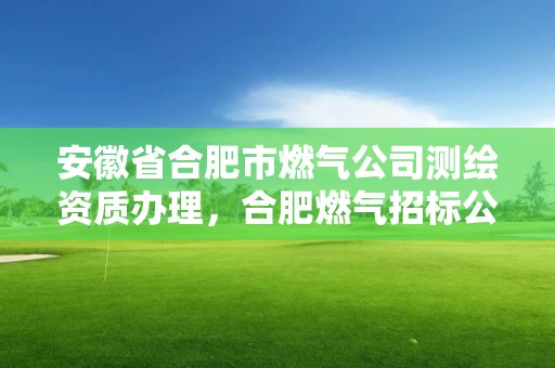 安徽省合肥市燃氣公司測繪資質辦理，合肥燃氣招標公告