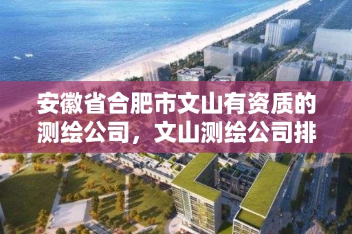 安徽省合肥市文山有資質的測繪公司，文山測繪公司排名榜