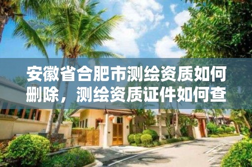 安徽省合肥市測繪資質如何刪除，測繪資質證件如何查詢